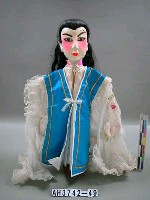 藏品(生（植髮）)的圖片